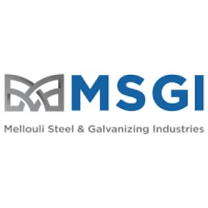 MSGI logo